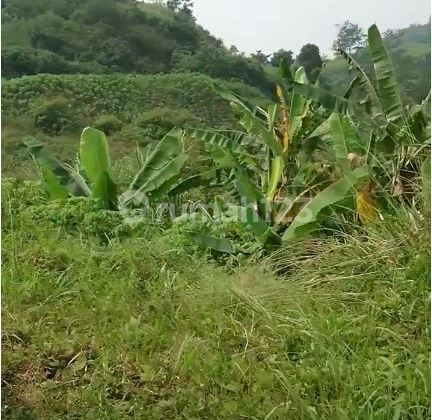TERMURAH! Tanah Jl Kerkof Cimahi untuk perumahan atau cluster 1