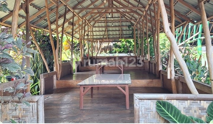 Paling Murah! Tanah Luas untuk Usaha di Ngamprah Bandung Barat