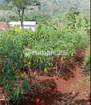 Termurah! Tanah 5 menit dari Kota Baru Parahyangan Padalarang