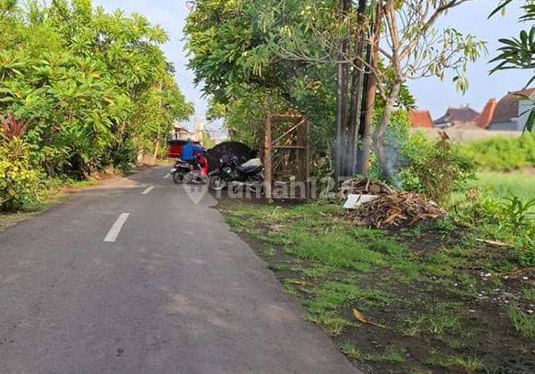 Lsh.005.mrs For Rent Min 10 Years Land Plot in Tukad Balian 1