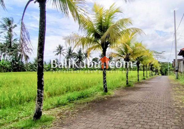 Plot of land for sale in Denbantas Cool Area Housing Tabanan 1