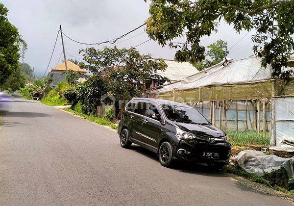 Ams.033.bim Jual Tanah 500m2 di Kawasan Sejuk Candikuning Baturiti Tabanan 2