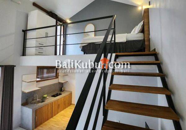 Amr.060.stj.lf Loft Apartment For Monthly Rent In Sanur Kaja Denpasar 1