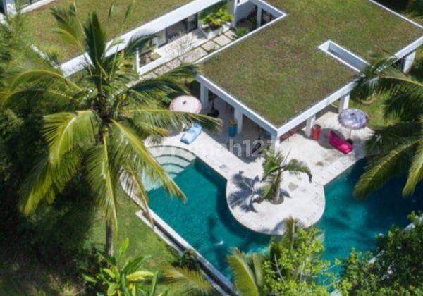 Ams.016.tka Dijual Villa 6 Kamar di Sebatu Tegalalang Ubud Gianyar 1