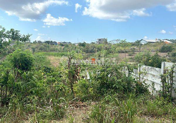 AMS.038.KS Selling 50 acres of land in Jimbaran Hill, South Kuta, Badung 2