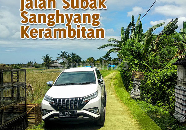 For Sale: 44 Are Rice Field in Tista Village, Kerambitan, Tabanan.