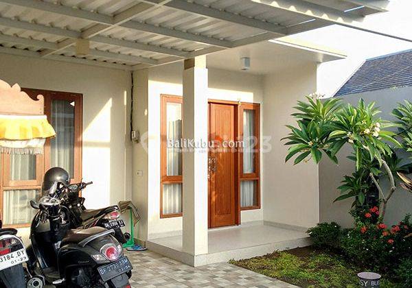 Amr.031.ico Exclusive 3 Bedroom House for Annual Rent on Jl Dewata Sidakarya 1