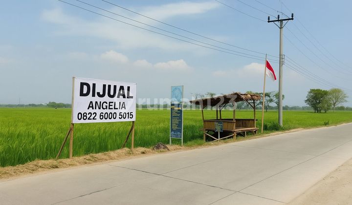 DIJUAL TANAH KARAWANG, LOKASI STRATEGIS BLKG PT ASTRA DIJUAL TANAH KARAWANG, LOKASI STRATEGIS BLKG PT ASTRA