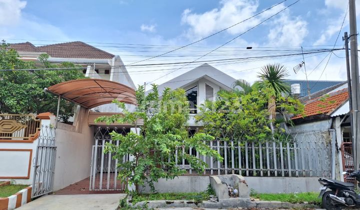 Sewa Rumah Lama Terawat - Kertajaya Indah Timur 1