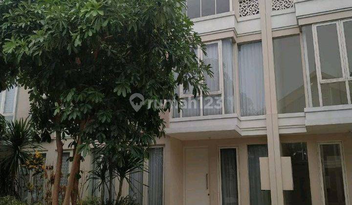 Murah Disewakan Rumah Di Pakuwon City Cluster Zimbali