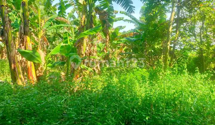 Jual Tanah Mentah di Curug Tangerang Cocok Unty Workshop, Gudang, Pabrik, Dll Jual Tanah Mentah di Curug Tangerang Cocok Unty Workshop, Gudang, Pabrik, Dll