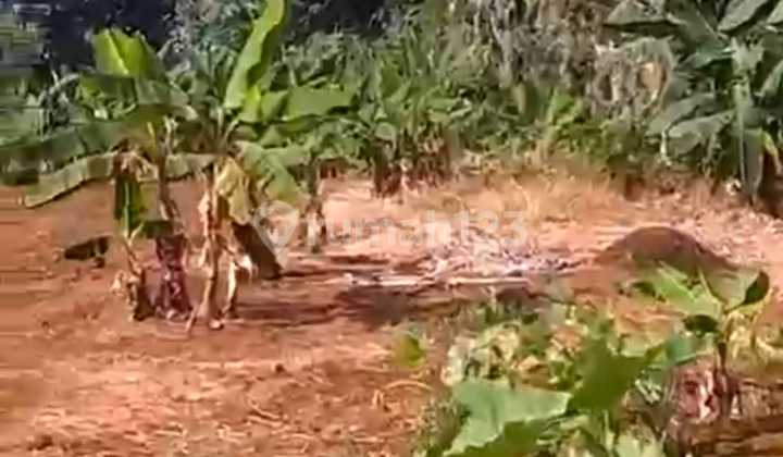 Sell Land in Cisauk BSD, Can Buy Partially Suitable for Clusters, Warehouses, Car Pools, etc. Sell Land in Cisauk BSD, Can Buy Partially Suitable for Clusters, Warehouses, Car Pools, etc.