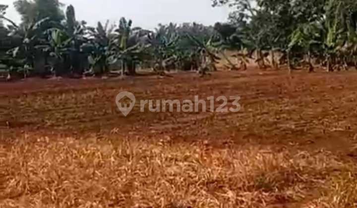 For Sale Good Land Cisauk Bsd Tangerang Suitable for Cluster, Car Pool, Warehouse, Etc.