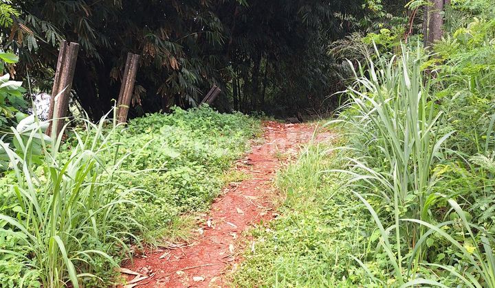 Nego Sampai Deal Tanah Di Pondok Cabe Ilir Pamulang Tangerang Selatan Dekat Cluster Paradesa, Dekat Caffe Vangard, Dekat Perumahan Bukit Cinere Indah Sangat Strategis, Cocok Untuk Cluster, Villa  2