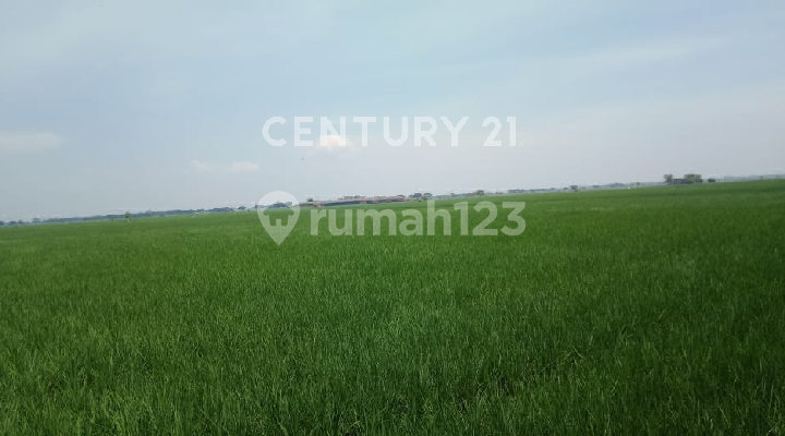 Lahan Strategis Jalur Kuning Di Pebayuran Kabupaten Bekasi