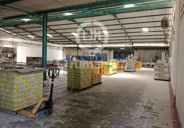 Warehouse in the Campurejo area, Boja. 2