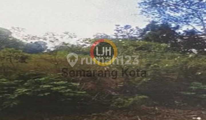 Kavling di Ampel, Boyolali