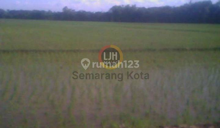 Kavling di Sayung 2