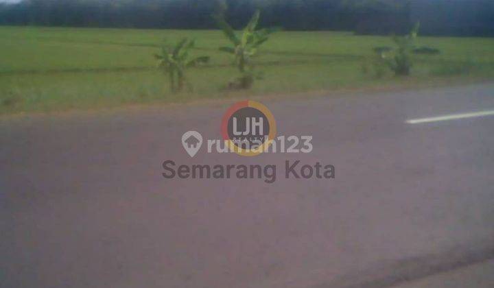 Kavling di Sayung 1