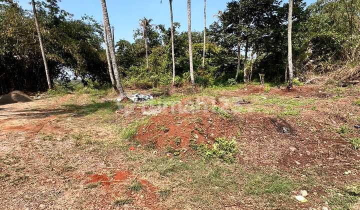 10 Hectares of Land in Rumpin for Cluster Development or Warehouse 10 Hectares of Land in Rumpin for Cluster Development or Warehouse