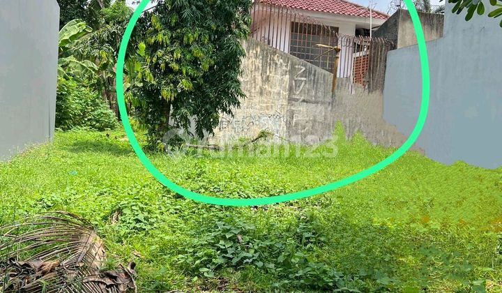 For Sale Large Land In Bintaro For Sale Large Land In Bintaro