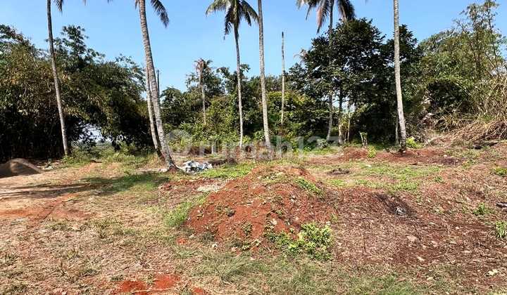 10 Hectares of Land in Rumpin for Cluster Development or Warehouse 10 Hectares of Land in Rumpin for Cluster Development or Warehouse
