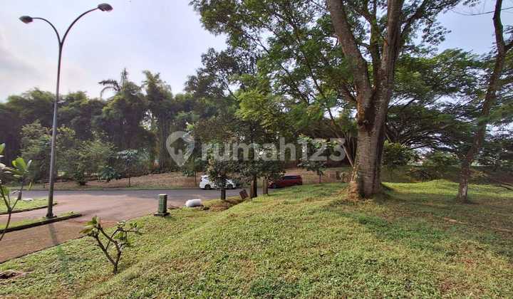 Ready-to-Build Hook Plot in Strategic Favorite Cluster