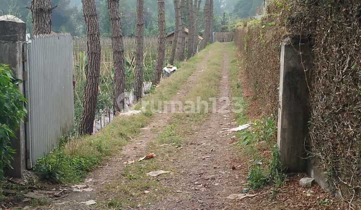 Tanah Siap Bangun Cocok Untuk Villa Pribadi Strategis