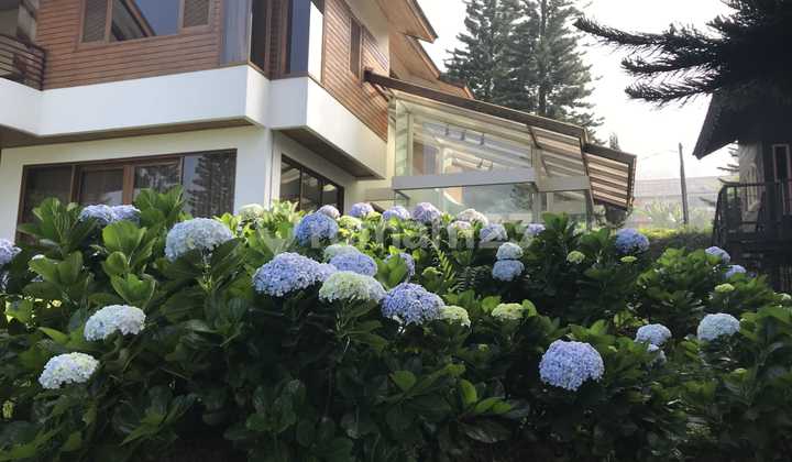 Villa Nyaman Siap Huni View Pegunungan Nego Sampe Deal