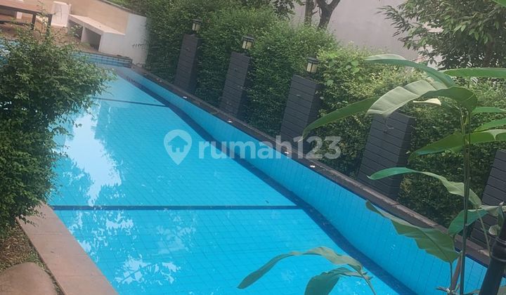 Rumah Design Istimewa Kolam Renang Cluster Premium