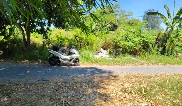 Tanah Siap Bangun Lokasi Gayung Kebonsari Surabaya Selatan 2