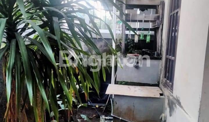 DIJUAL CEPAT! RUMAH MURAH & MINIMALIS DI TABANAN KEDIRI 2