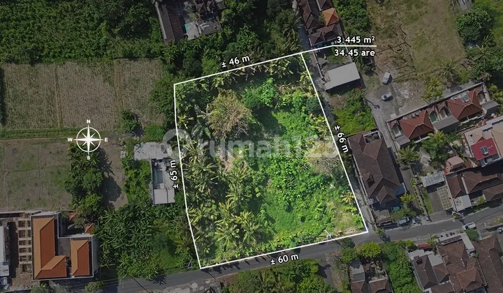 Land for Rent near Saba Beach, Gianyar Land for Rent near Saba Beach, Gianyar