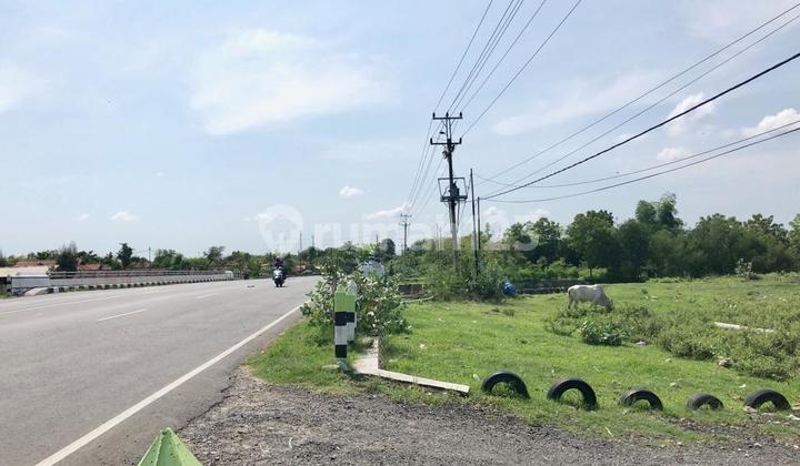 Cari Tanah Buat Investasi? Usaha Mau Dipindah Ke Daerah? Nahh..