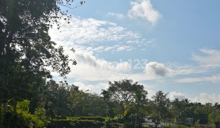 TANAH PERKARANGAN STRATEGIS LUAS 3.295M BISA NEGO PINGGIR JALAN RAYA TURI - TEMPEL, BANGUNKERTO, TURI, SLEMAN, YOGYAKARTA