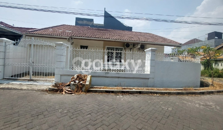 Rumah Sutorejo Tengah, Siap Huni, Sudah SHM Rumah Sutorejo Tengah, Siap Huni, Sudah SHM