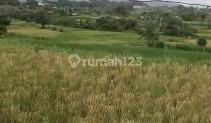 For Sale Strategic Land - Selukat, Keramas (Pink Zone For Sale Strategic Land - Selukat, Keramas (Pink Zone