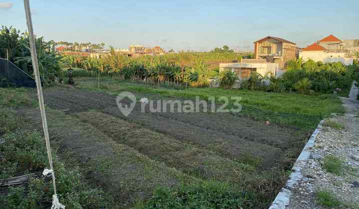 Dijual Tanah Di Tumbak Bayuh, Mengwi Dijual Tanah Di Tumbak Bayuh, Mengwi