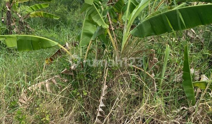 Di Jual Tanah 4 Are Di Kelating Tabanan 395/are