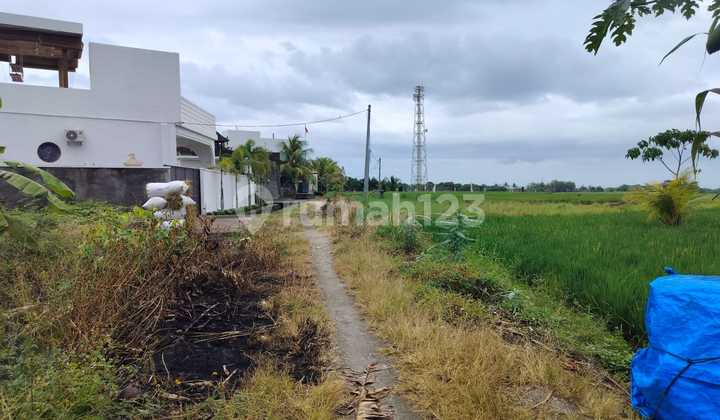 Dijual Tanah 20are Di Kelating – Tabanan 265/are