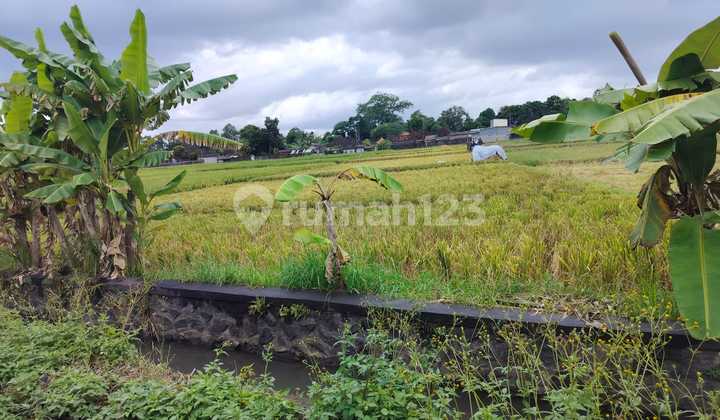 Dijual Tanah 20are Di Kelating – Tabanan 265/are