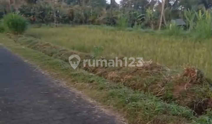 Di Jual Tanah Premium Untuk Villa Atau Resort Di Payangan Gianyar