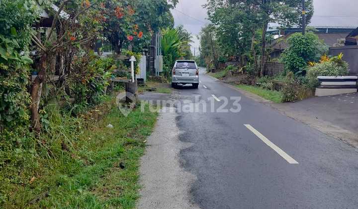 Land for Sale in Tabanan 7 ares, 250 million/are Land for Sale in Tabanan 7 ares, 250 million/are