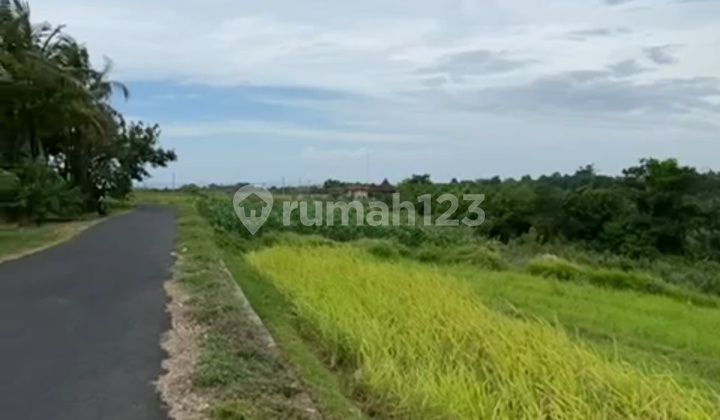 Land with Beautiful View for Sale in Selemadeg Tabanan