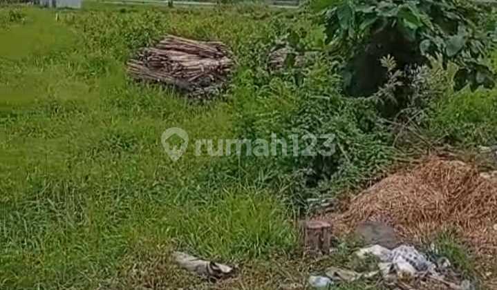 Dijual Tanah Komersial Zona Merah Barat Terminal Mengwi