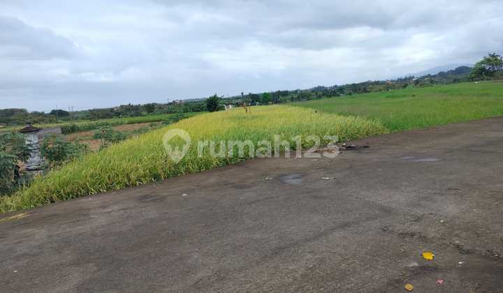 Dijual Kelating 175/are