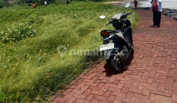 Land for Sale 20 Ares at Loss Pantai Ketewel Land for Sale 20 Ares at Loss Pantai Ketewel