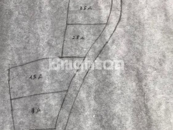 Di Jual Tanah Murah di Lebih Gianyar Di Jual Tanah Murah di Lebih Gianyar