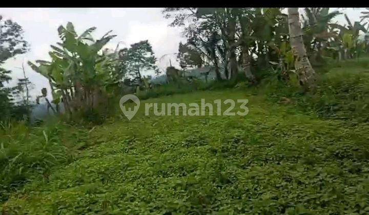 Dijual Tanah Diklungkung