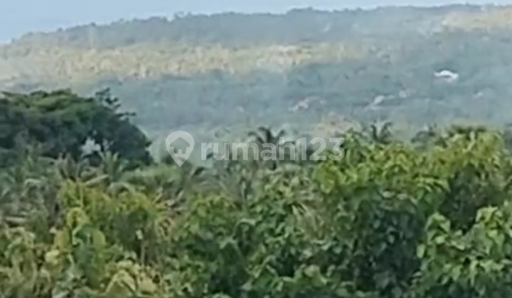 Quick Sale Land 19 million/are, Ocean and Mountain View 40 are